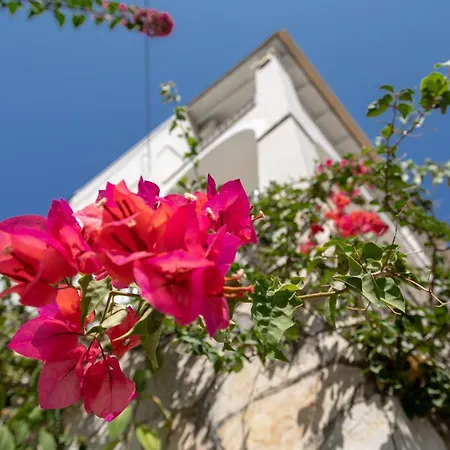 Anastar Villa Agios Stefanos Kassiopi