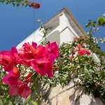 Anastar Vilă Agios Stefanos Kassiopi